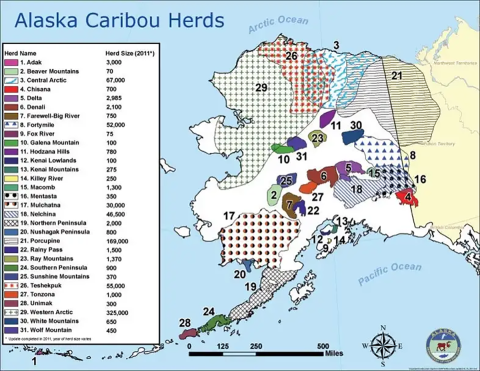 Colored map of Alaska displaying the range of 32 caribou herds