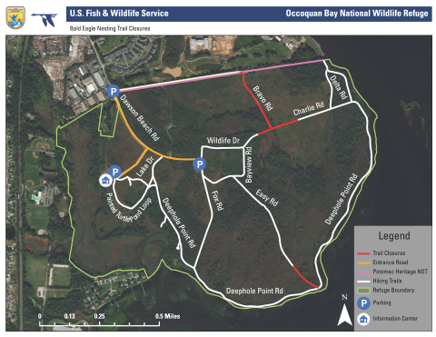 A map of trail closures due to Bald Eagle nesting at Occoquan Bay National Wildlife Refuge