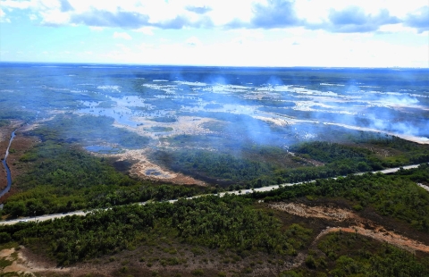 Overhead view of a prescribed fire at Ten Thousand Island NWR.