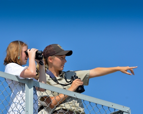 a woman in service uniform points out a bird to a young visitor using binoculars