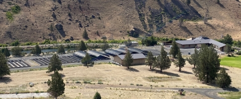 A view of hatchery buildings and structures amongst trees, mountains, and water