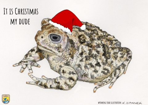 An illustration of a crabby looking toad wearing a Santa Hat. Text on the card reads "It is Christmas My Dude"