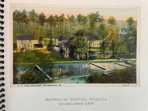 Old postcard from a former federal fish hatchery in Virginia