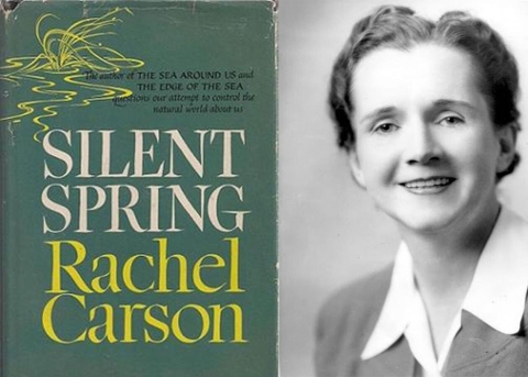 Cover of Silent Spring showing title and black and white image of Rachel Carson (woman smiling with short hair)