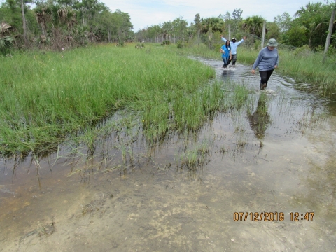 3 people walk through stream, one with arms raised