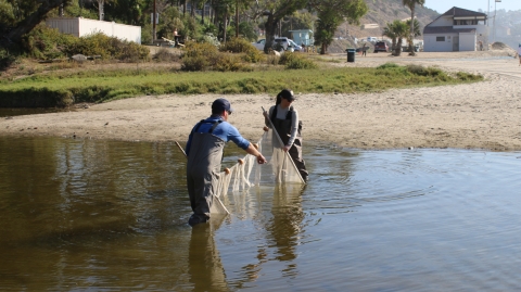 Two people in waders standing in knee deep water with a large net
