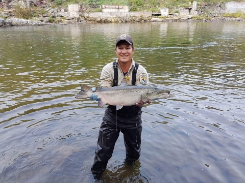 A person stands in a river wearing waders and holding a large silver fish. 