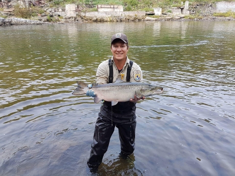 Sea Lamprey Control in the Lake Champlain Basin | U.S. Fish & Wildlife ...