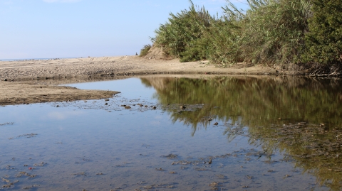 A lagoon surrounded by sand and brush