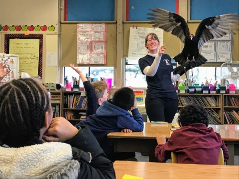 Woodlawn Elementary Bird by Bird program with live vulture