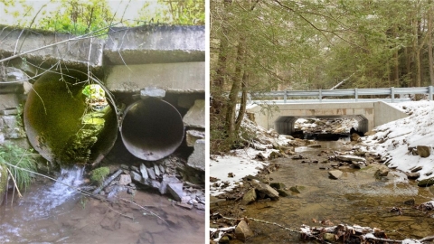 Side by side images of a culvert, image one shows two differently sized pipes and a dysfunctional culvert, the other image is the culver after construction. There is a short bridge and large box culvert opening underneath. Water flows freely.