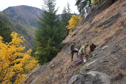 People on a steep mountain slope with fall foliage in the foreground