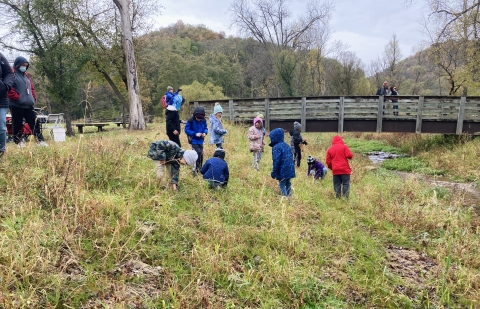Students plant native seed plants on stream bank