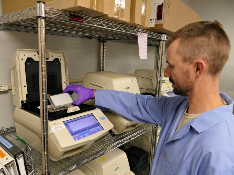 Staff member uses PCR to process eDNA samples