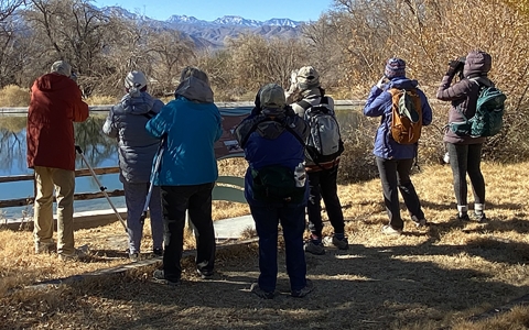 Photo of people from behind as they look for birds near a pond.