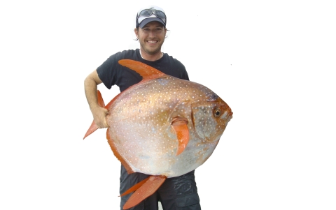 a man in sunglasses and a hat holding a big round fish
