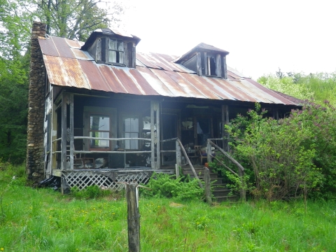 an old brown home with a rusty rin roof in a secluded green forest area