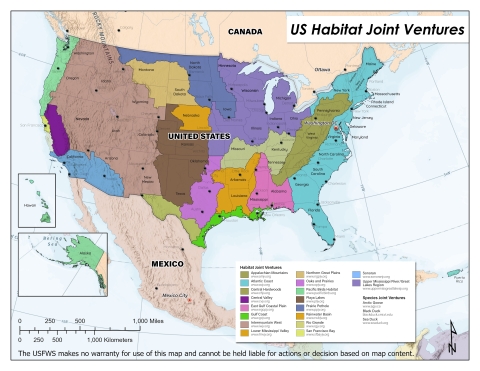 Migratory Bird Joint Ventures US Map