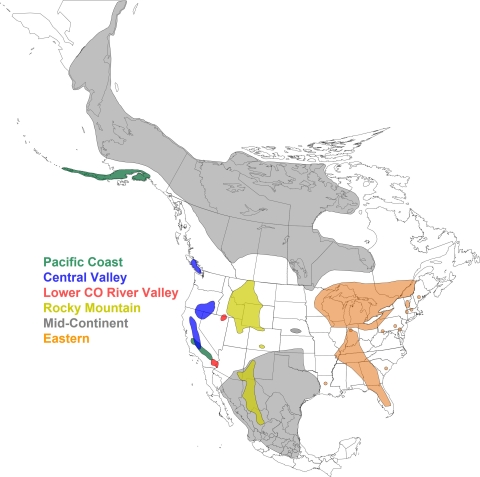 Sandhill Crane Populations in North America