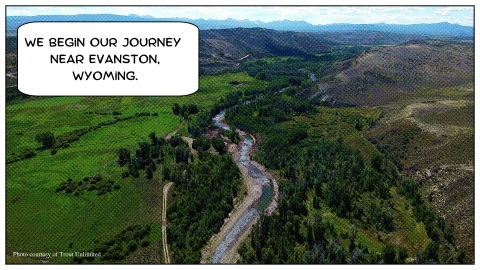 Cartoon graphic of an aerial view of a river winding through the landscape with a speech bubble reading "We begin our journey in Evanston WY"