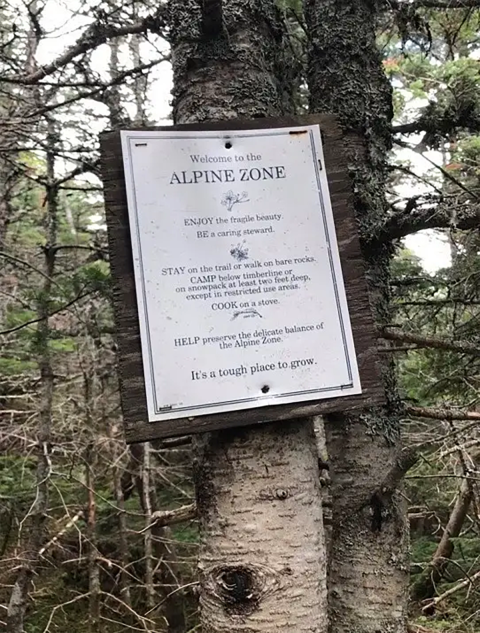 a sign on a tree that reads Welcome to the Alpine Zone, Enjoy the Fragile Beauty, Stay on the trail or walk on bare rocks, camp below the timber line or on snowpack at least two feet deep, Cook on a stove, Help preserve the delicate balance of the Alpine zone, its a tough place to grow