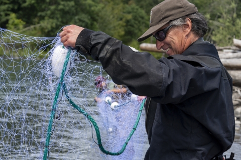 Service employee holding up and preparing a tangle net while standing on the bank of a river. 
