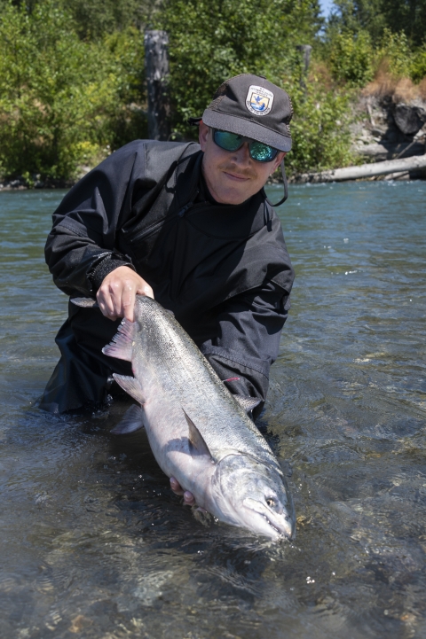 Employee Greg Byford poses with Chinook Salmon while wading in the Elwha River in Washington State. 