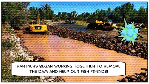 Cartoon graphic of heavy equipment being operated in a river and a speech bubble reading "Partners began working together to remove the dam and help our fish friends!"