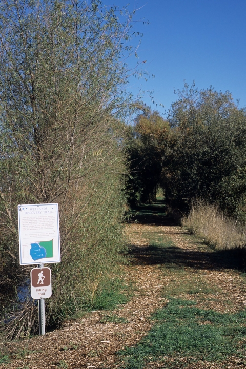 trailhead sign alongside a broad flat trail with trees in background