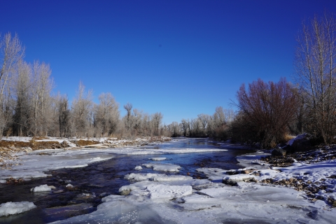 frozen chunks of ice floating on a river flowing between trees