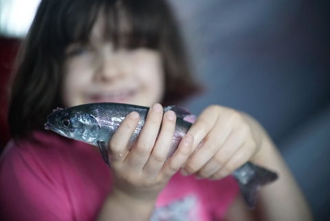 girl in pink holding a shiny silver fish
