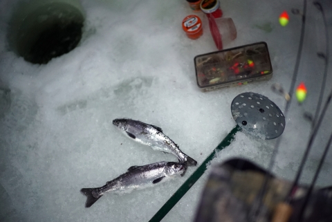 fish and rods with bobbers and fishing lures on the ice next to a hole