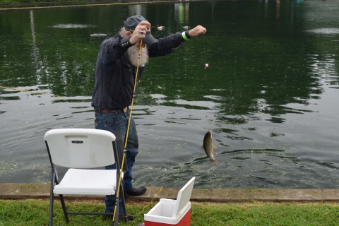 man catches a fish out of the pond