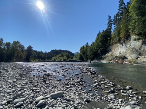 A view of the Elwha River from the river bank on the edge of the water looking upriver.
