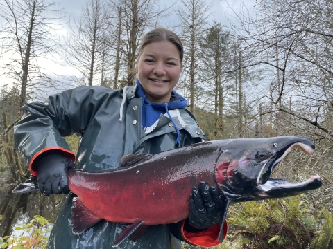 Fisheries intern, Hannah Ferwerda, holding an adult male coho salmon.