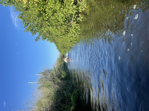 South Florida Canal