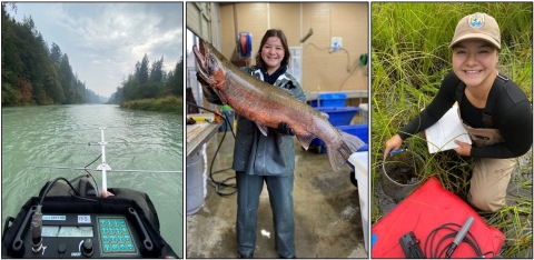 Three combined photos from Hannah Ferwerda's internship experience. On the left, a photo looking down the Nisqually River from a raft with fish tracking gear in the front view of the raft. In the middle, Hannah holding a steelhead at Quinault National Fish Hatchery. On the right, Hannah posing in a wetland with a minnow trap used to sample Olympic mudminnow.