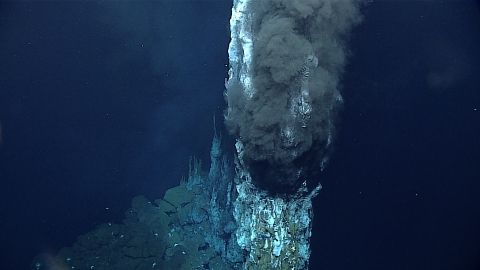 Tall hydrothermal vents spill out black chemical bacteria in the ocean depths. 
