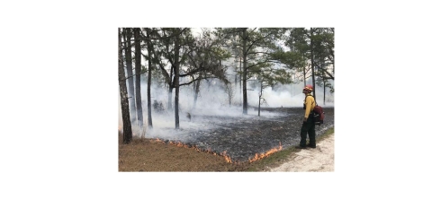 Matt King with the Nature Conservancy sets a prescribed fire.