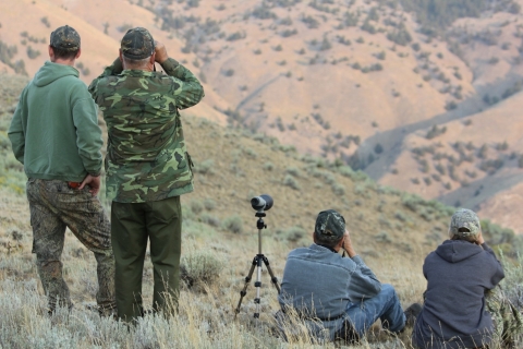 four hunters using binoculars to search for bighorn rams across a canyon