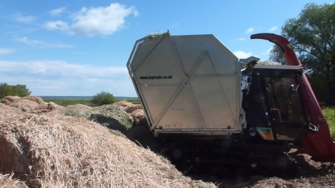 A harvesting machine deposits dried plants in a pile