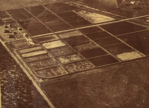 a sepia view from above showing a cluster of buildings and manmade fish ponds