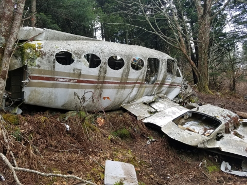 Wreckage of a small airplane in a forest