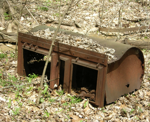 A rusty piece of old farm equipment rests on ground in woods