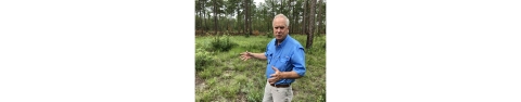 Georgia tree farmer Reese Thompson stands in a longleaf pine forest.