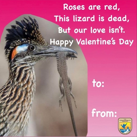photo of a roadrunner holding a dead lizard with text that says roses are red, this lizard is dead but our love isn't Happy Valentines Day, with to and from on the side