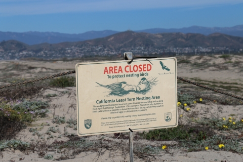 a sign that says area closed, California least tern nesting area with a graphic of two terns nesting