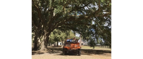 A Jeep painted Auburn orange and blue. 