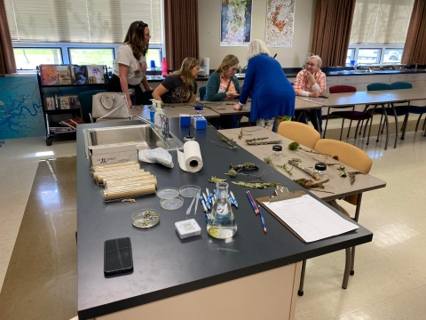 Ladies in a classroom gathered around a lichen sample