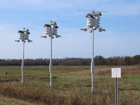 3 sets of white purple martin houses on poles in a green field.